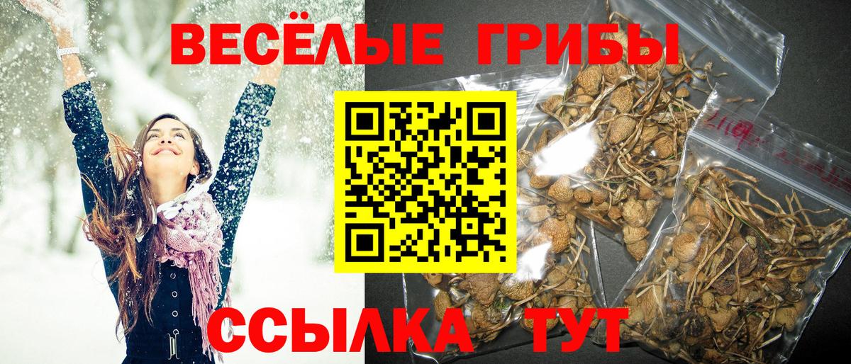 Галлюциногенные грибы ЛСД  Псилоцибиновые грибы MAGIC MUSHROOMS  Уссурийск  Вход с VPN 